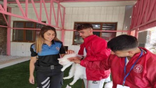 Ardahanlı öğrenciler Van Kedi Villasını gezdi
