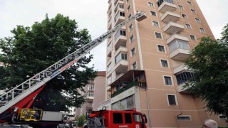 Arılar oğul verdi, belediye duvardan indirdi