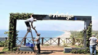 Aşırı sıcaklar karşısında kuruyan çiçekli fotoğraf çerçevesi, yeniden yeşillendi
