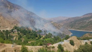 Aşırı sıcaklar yangına sebep oluyor