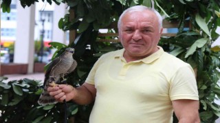 Atmaca kültürü tanıtılıyor