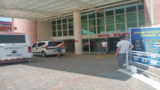 Aydında acemi kasapların bayram bilançosu