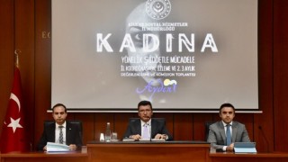 Aydında kadına karşı şiddet masaya yatırıldı