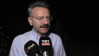 Aydındaki yangında 30 hektar ormanlık alan zarar gördü