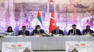 BAE ile ilişkilerde yeni dönem: Yeni yatırımlar ve ekonomik işbirlikleri hedefleniyor