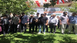 Bağcılarda Kayısı Festivali düzenlendi