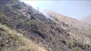 Bahçesaraydaki örtü yangını kontrol altına alındı