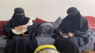 Bahçeşehirdeki ördekleri çantasına koydukları iddia edilen kadın yaşananları anlattı