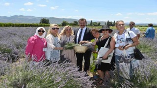 Balıkesir Büyükşehir Belediyesi, şehri aromatik bitki üssü yapma yolunda önemli adımlar atıyor