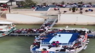 Baraj gölünde yüzen ayı tekne turu ziyaretçileri tarafından görüntülendi