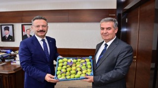Başkan Erol, sezonun ilk incirini Vali Aksoya takdim etti