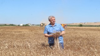Başkan Tahmazoğlu çiftçinin hasat sevincine ortak oldu