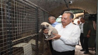 Başkan Yalçın, Patievinde minik dostlarla