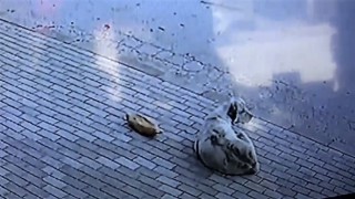 Başkasının verdiği ekmeği yemedi, 45 dakika iş yeri sahibinin gelmesini bekledi