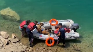 Batmanda baraj göletine düşen köpek bot yardımıyla kurtarıldı