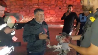 Belediye başkanı tele takılan martı için tüm ekipleri harekete geçirdi