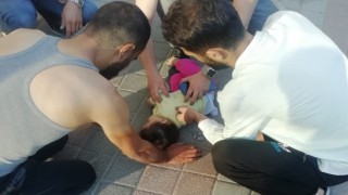 Beşinci kattan düşen 9 aylık bebek ağır yaralandı