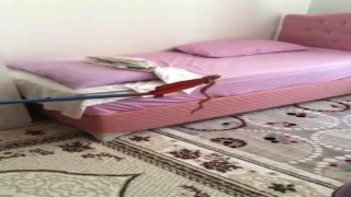 Besnide eve giren yalan yakalandı