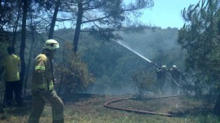 Beykoz Çavuşbaşında ormanlık alanda yangın çıktı. Olay yerine çok sayıda itfaiye ekibi sevk edildi. Yangına havadan da helikopterle müdahale ediliyor.
