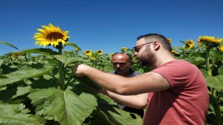 Beyşehirde ekili alanlarda hastalık ve zararlı kontrolleri sürüyor