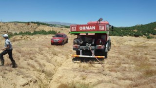 Bingölde orman yangını büyümeden söndürüldü