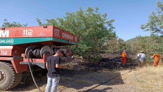 Bingölde orman yangını büyümeden söndürüldü