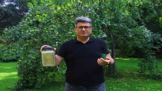 Bitki koruma profesörü, çayır tırtılı zararlısına karşı çözüm yolu üretti
