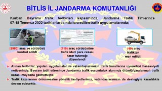 Bitliste trafik denetimleri
