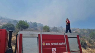 Bodrumda makilik alanda yangın çıktı