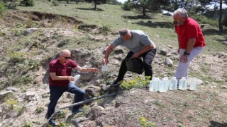 Boluda içme suyu zehirlenmelerinde sayı 141a ulaştı