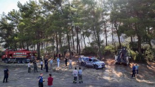 Bucada orman yangınlarına karşı dört koldan seferberlik