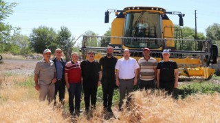 Buğday rekoltesi çiftçinin yüzünü güldürdü