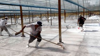 Bunaltıcı sıcaklar 3 bin yıllık Kemah tuzuna bereket getirdi