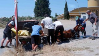 Bunaltıcı sıcakta yük ve insan taşıyan at, yere yığıldı zor anlar yaşadı