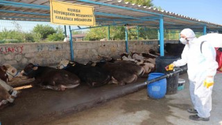 Bursa Büyükşehir bayrama hazır