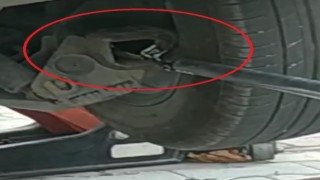 Bursada aracın aksına giren oluklu kertenkele operasyonla çıkarıldı