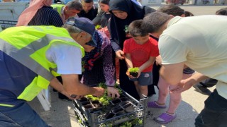 Bursada mezarlık ziyaretçilerine ücretsiz çiçek
