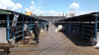 Bursada vatandaşlar kurbanlık alımı için son günü bekliyor