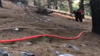 Büyük Manavgat yangınında ormancılara sırtında erzak taşıdı, yıl dönümünde çiçeklerle ziyaret edildi