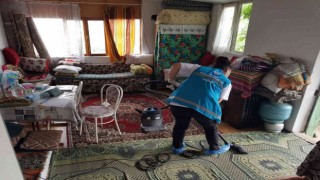 Büyükşehir Kırsaldaki Çınarlarına sahip çıkıyor