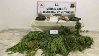 Çadıra uyuşturucu operasyonu