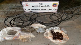 Çaldıkları bakır kablolarla yakalandılar
