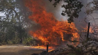 Californiada orman yangını nedeniyle acil durum ilan edildi