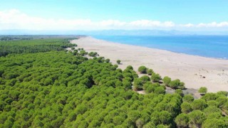 Çarşambaya 50 hektarlık Orman Park