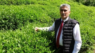 ÇAYÜDAD Ulusal Çay Konseyinden ayrılma kararı aldı