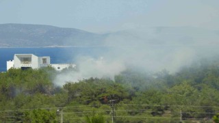 Çeşmede çıkan yangın kısa sürede kontrol altına alındı