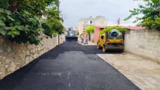 Ceyhanda yol seferberliği