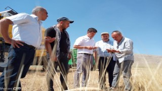 Çiftçinin emeği kaybolmasın diye denetimler sıklaştırıldı