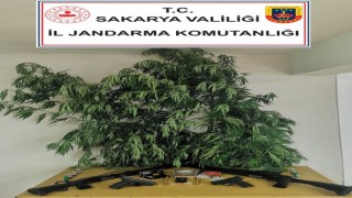 Çiftliğe uyuşturucu baskını: 2 gözaltı