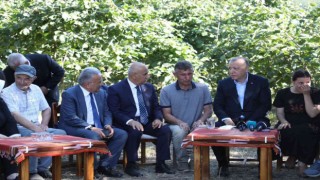 Cumhurbaşkanı Erdoğan fındık bahçesinde